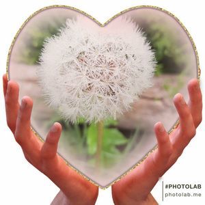 Meet your Posher, Janice